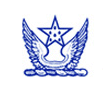 Baring Private Equity Partners India Limited logo